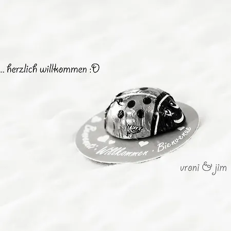 Fiechtl Stumm
